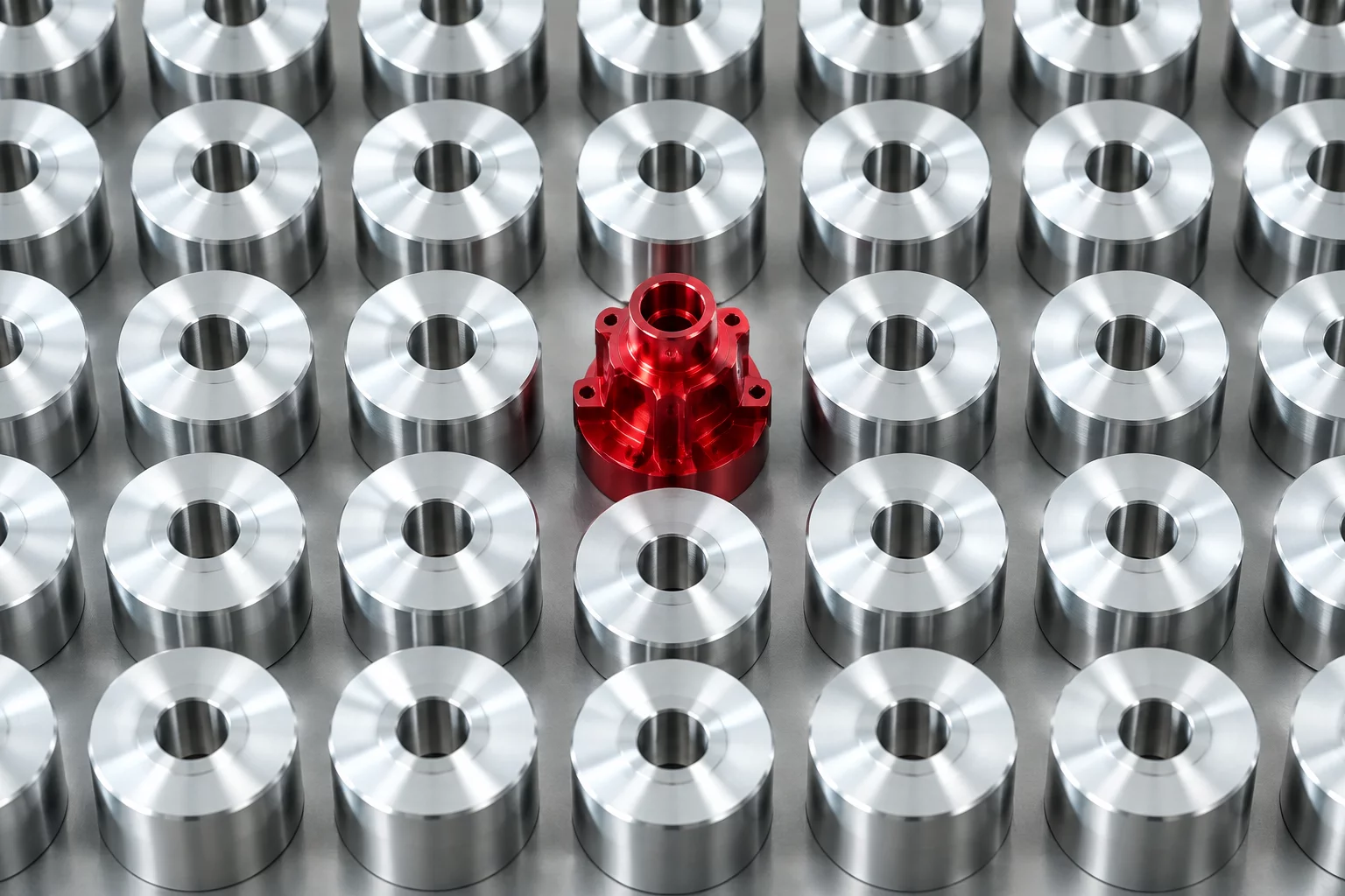 Balancing Customization and Standardization